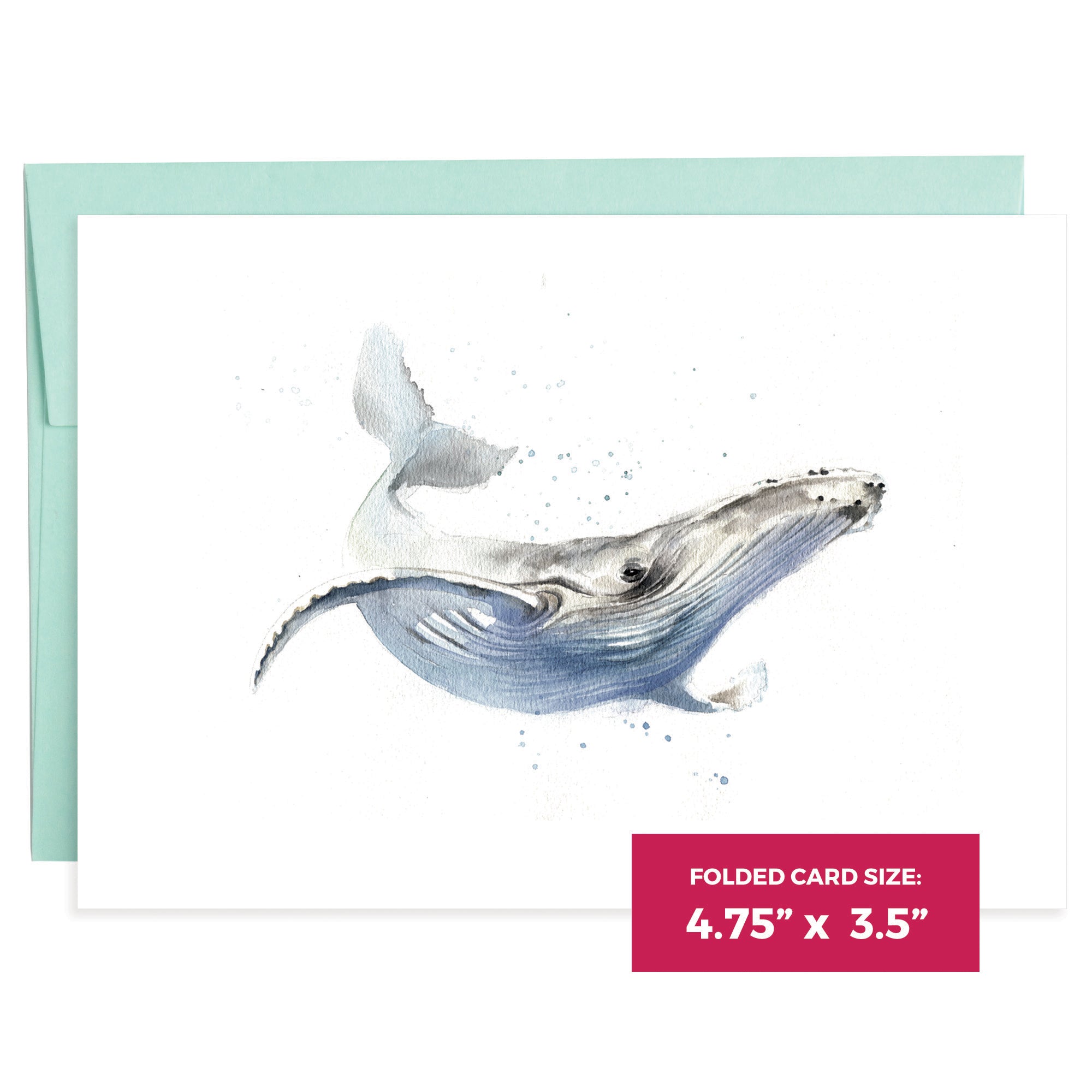 Marine Life | 16 Note Cards