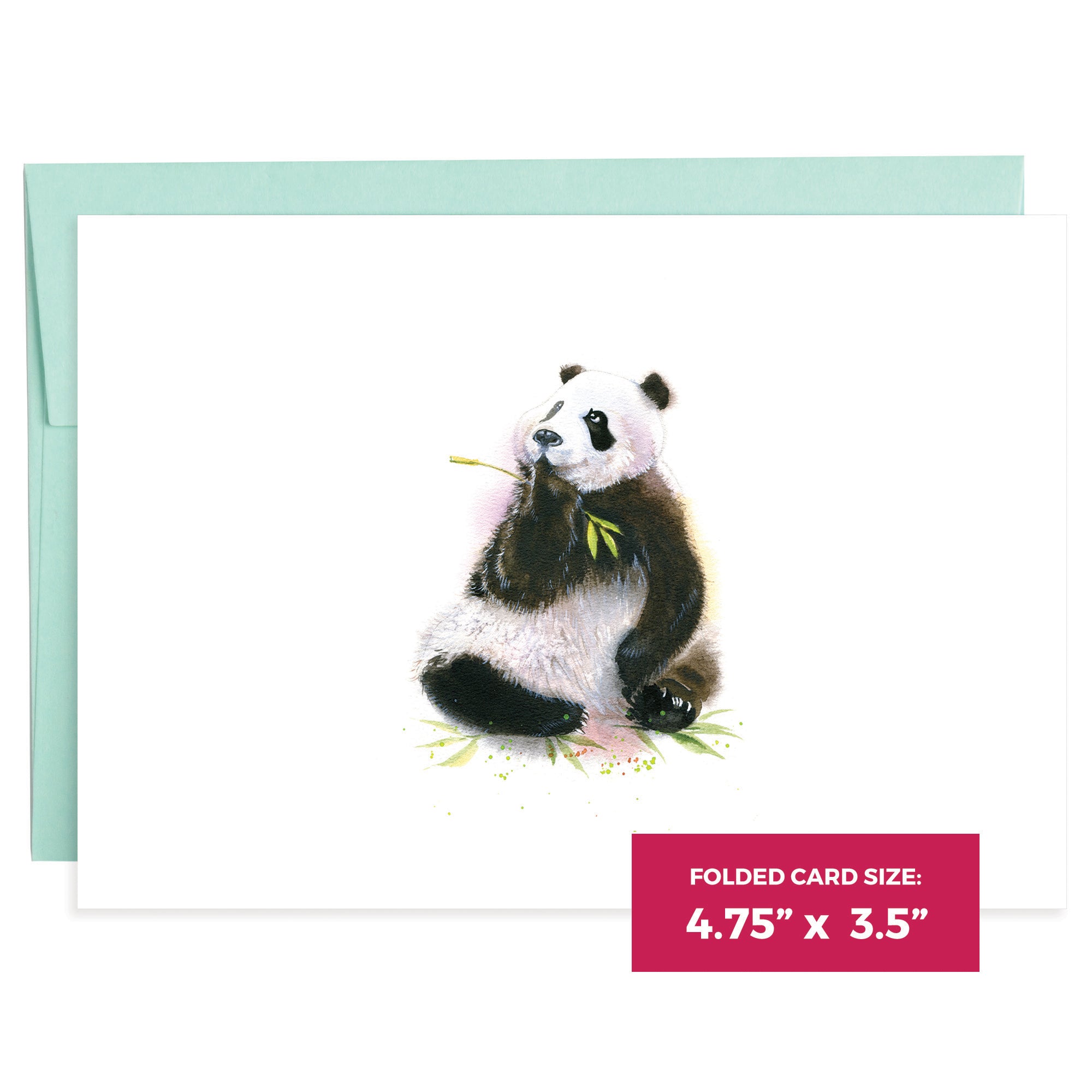 Pandas | 16 Note Cards