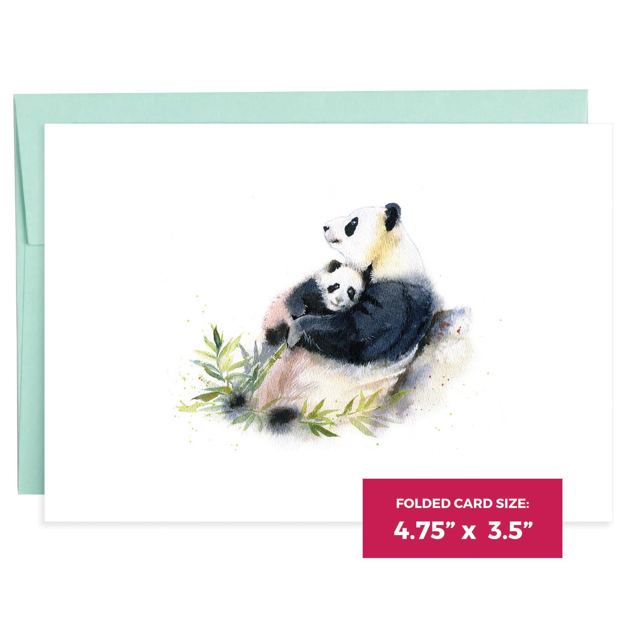 Pandas | 16 Note Cards