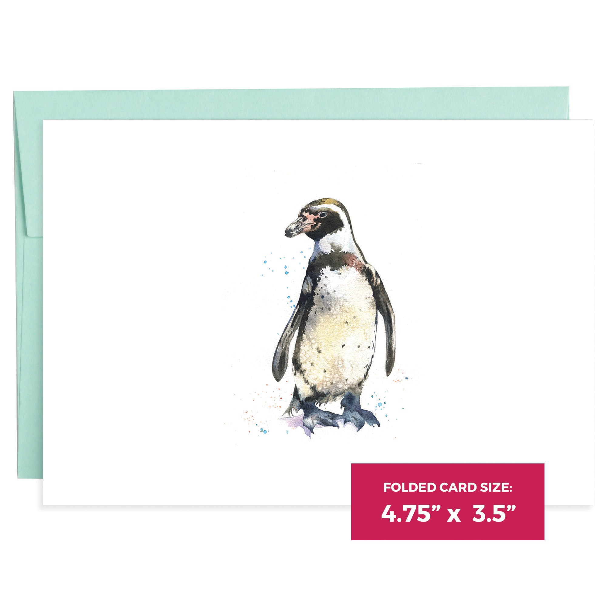 Marine Life | 16 Note Cards