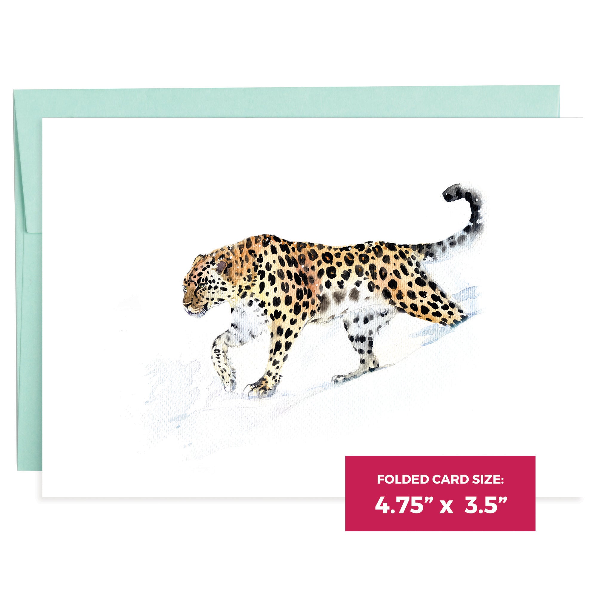 Big Cats | 16 Note Cards