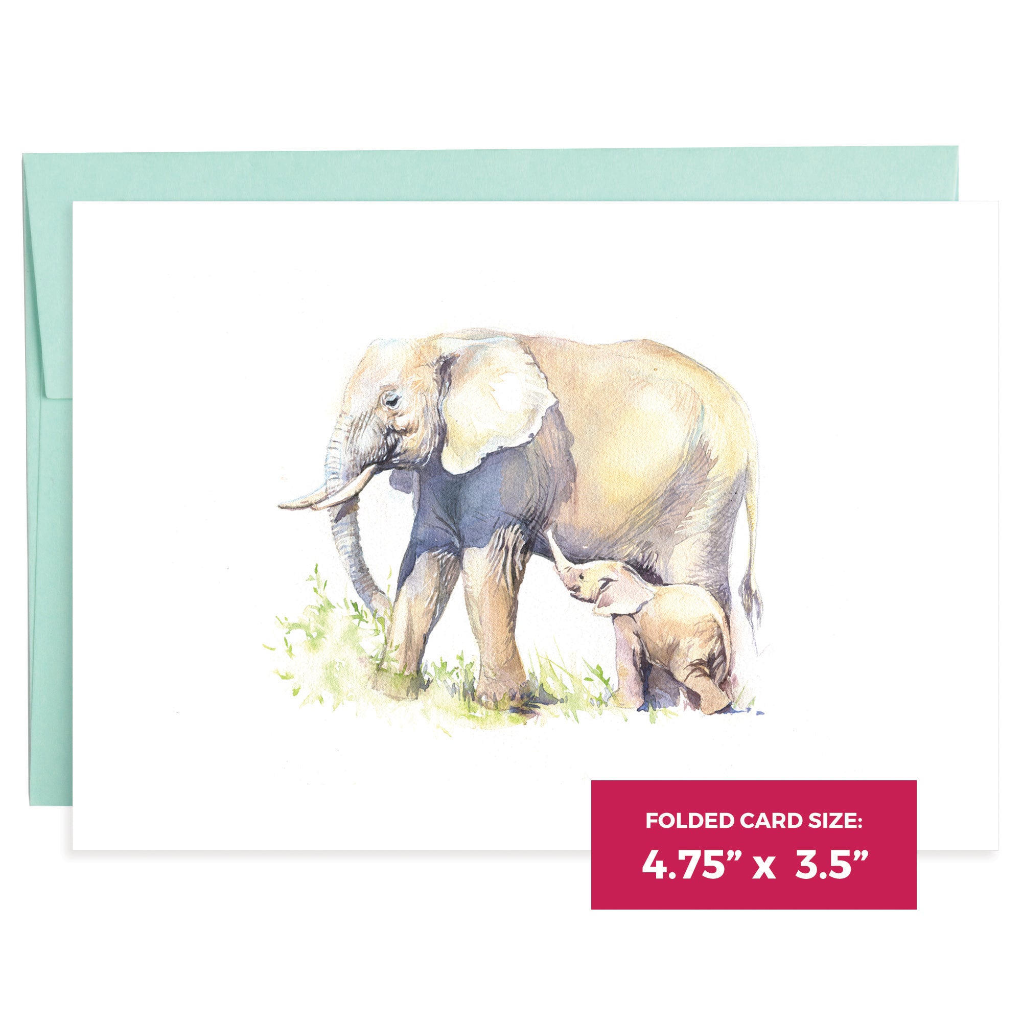 Elephants | 16 Note Cards