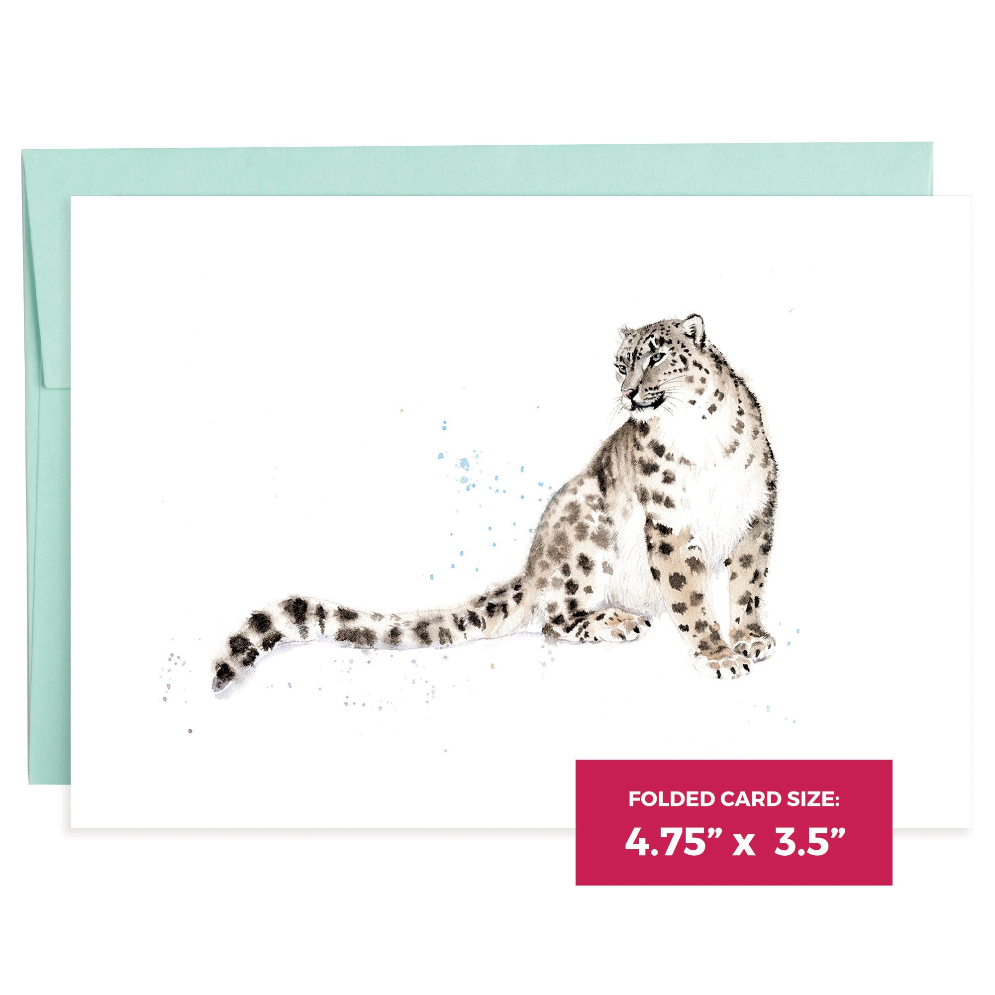 Big Cats | 16 Note Cards