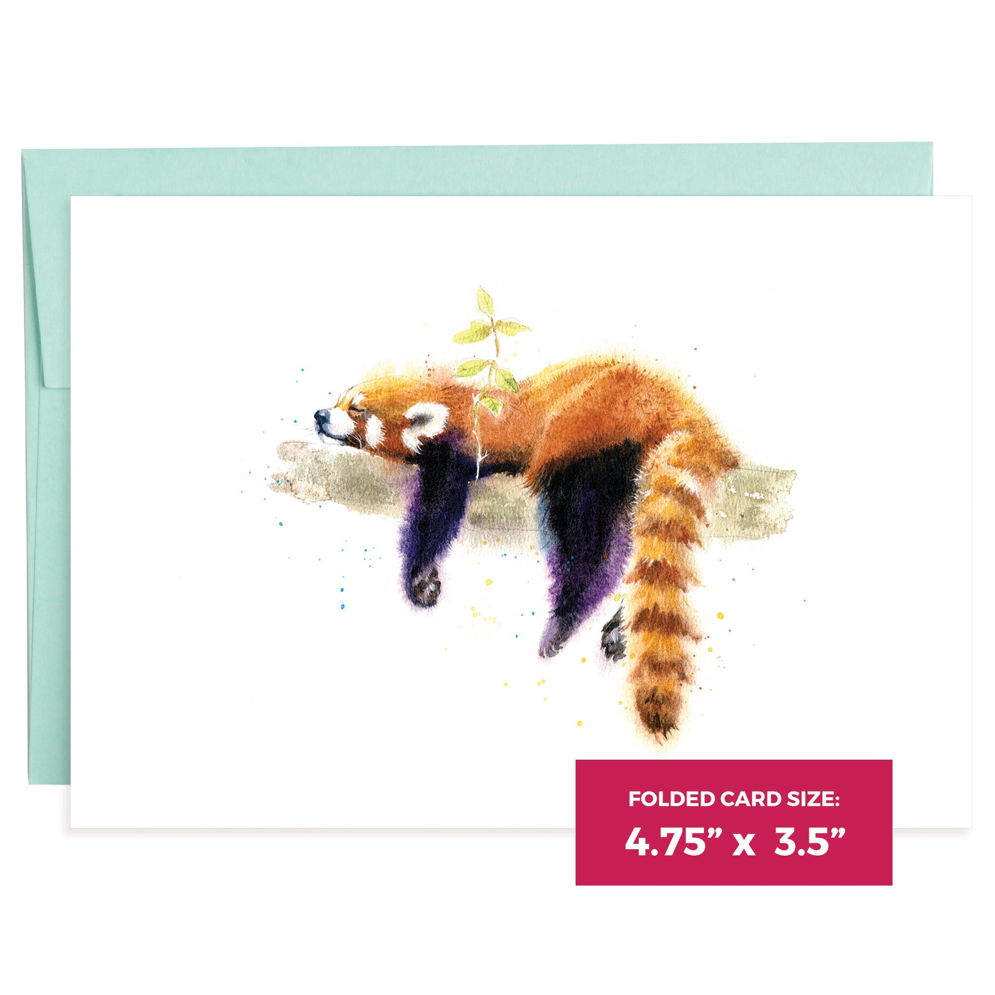 Pandas | 16 Note Cards