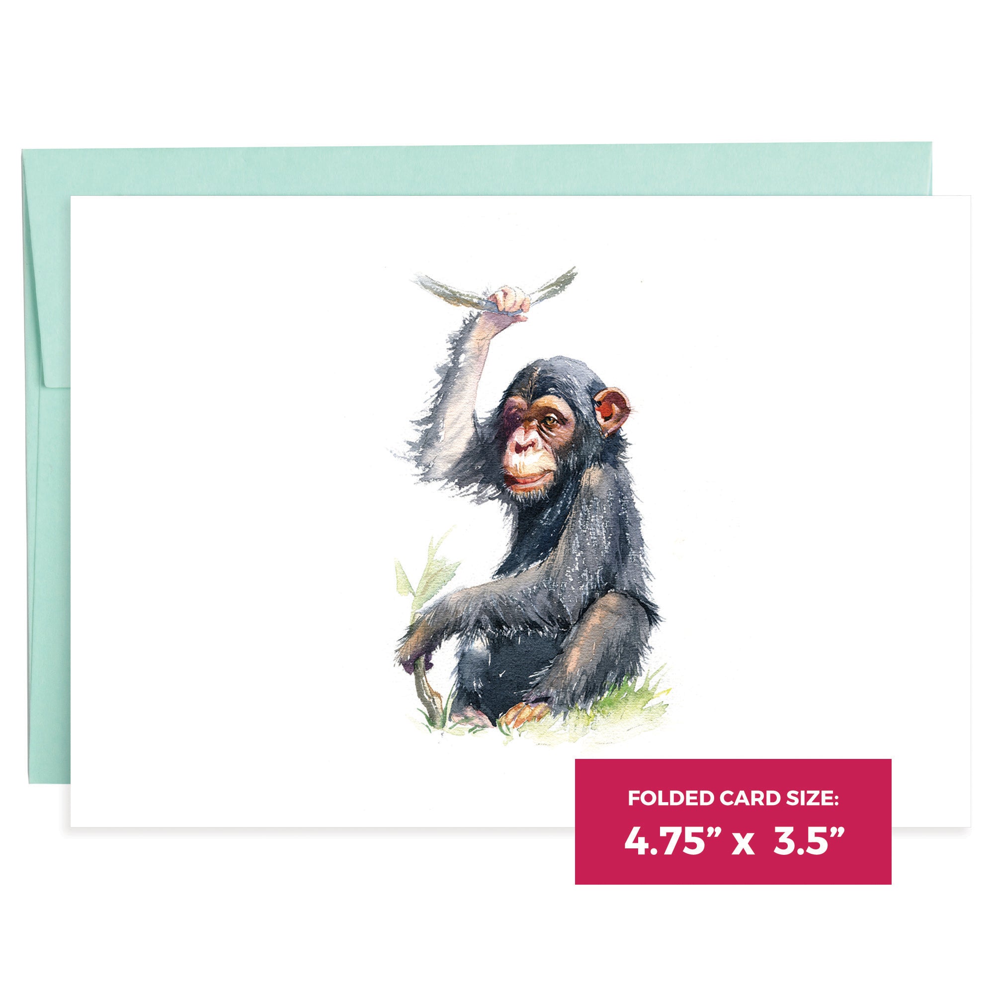 Great Apes | 16 Note Cards