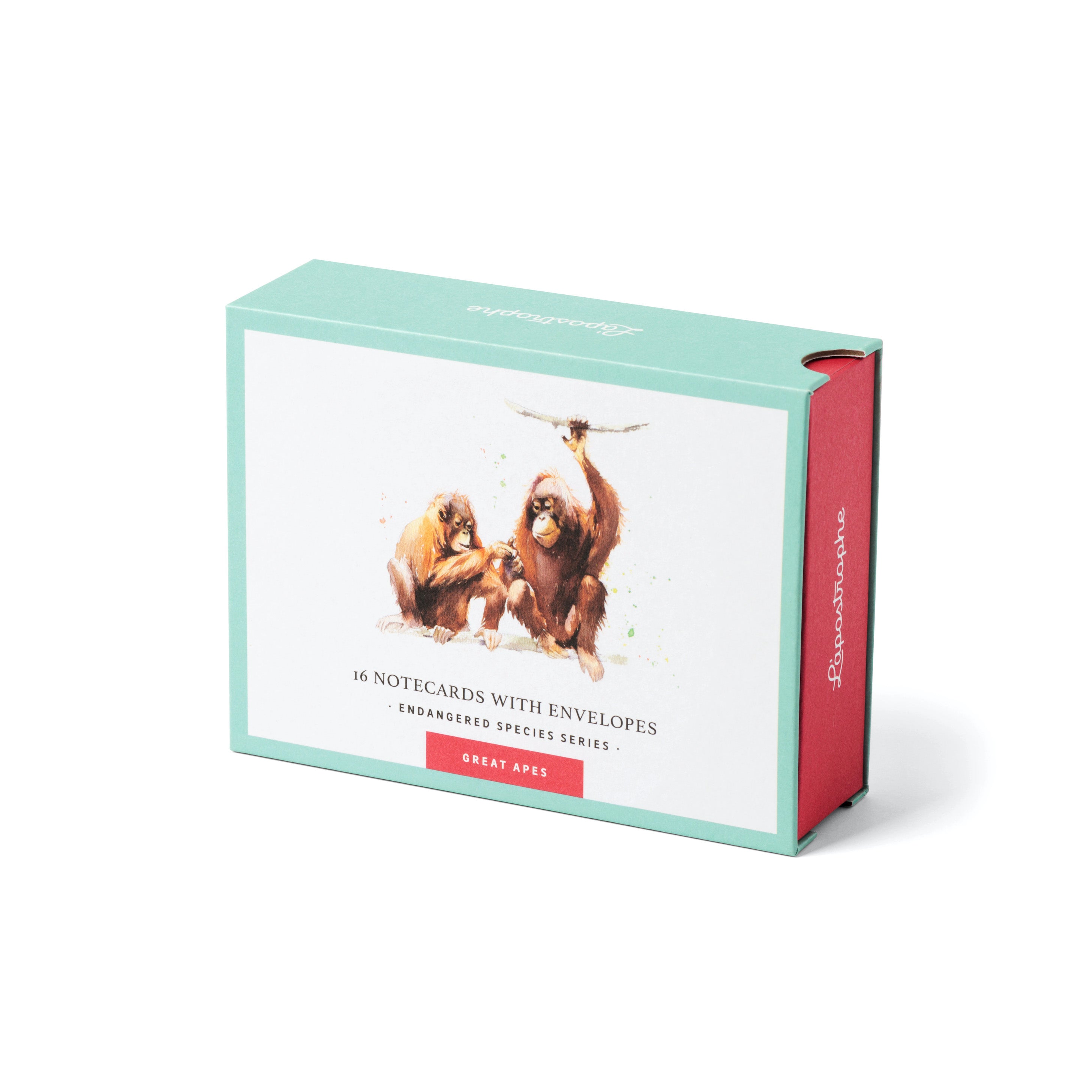 Great Apes | 16 Note Cards
