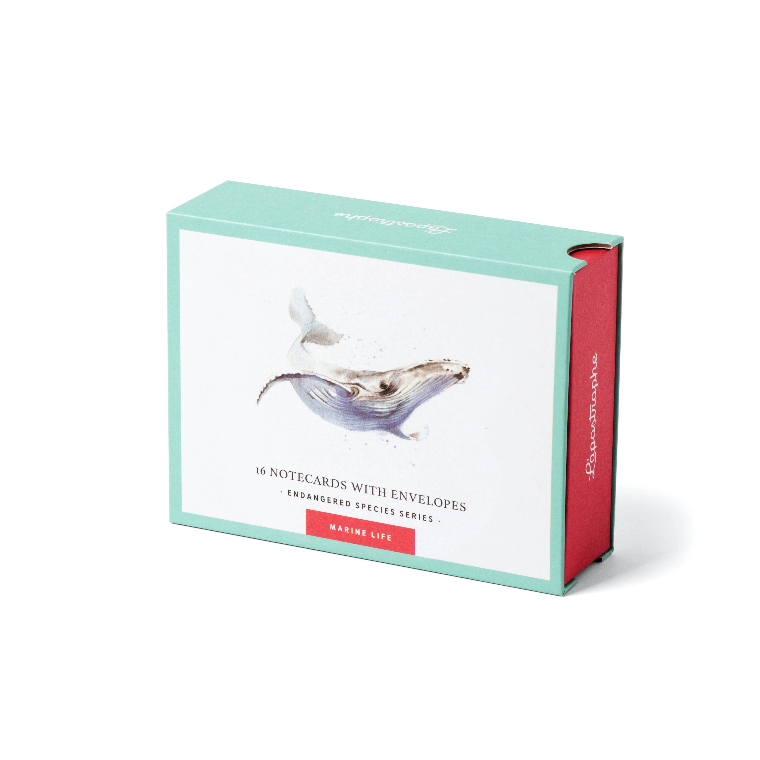 Marine Life | 16 Note Cards