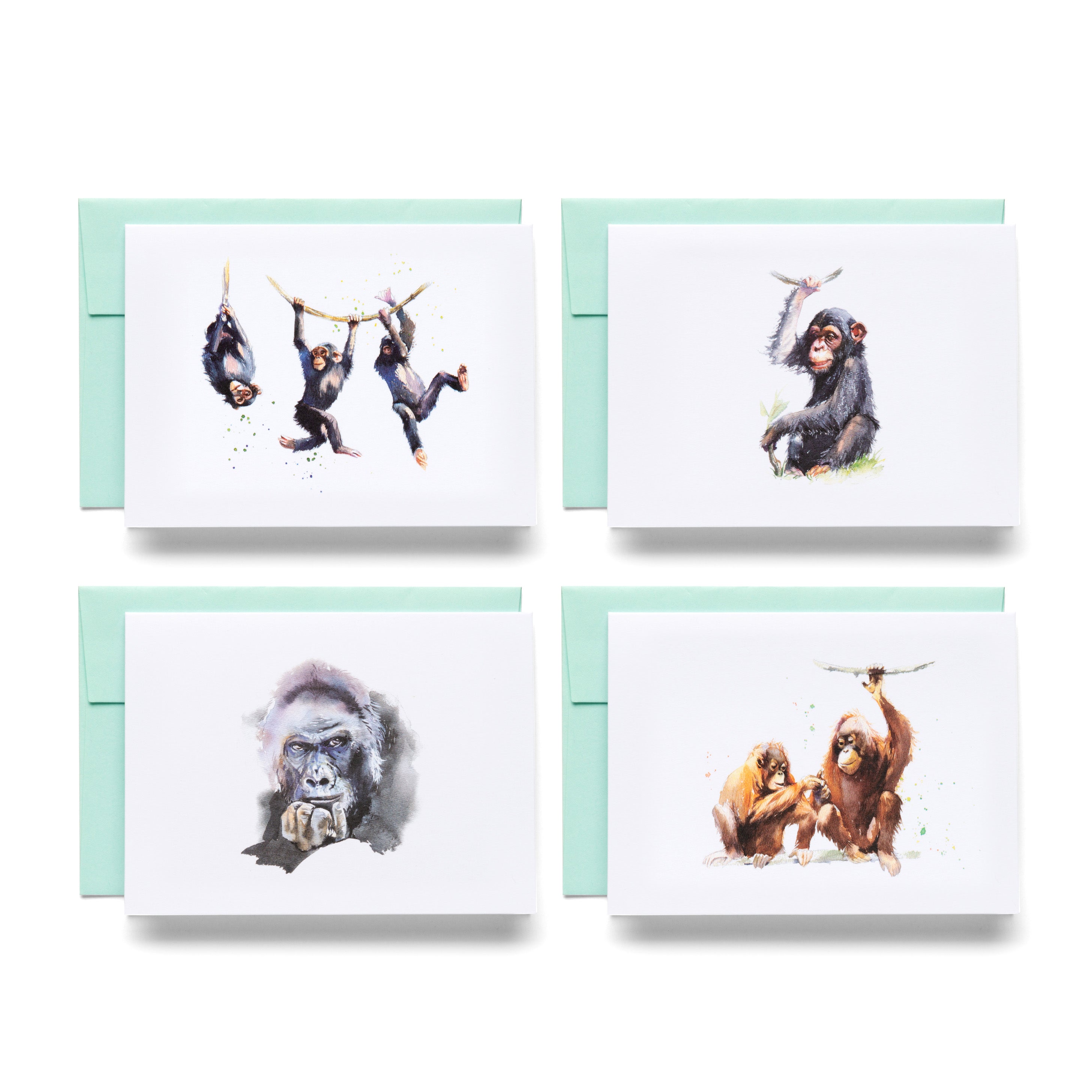 Great Apes | 16 Note Cards