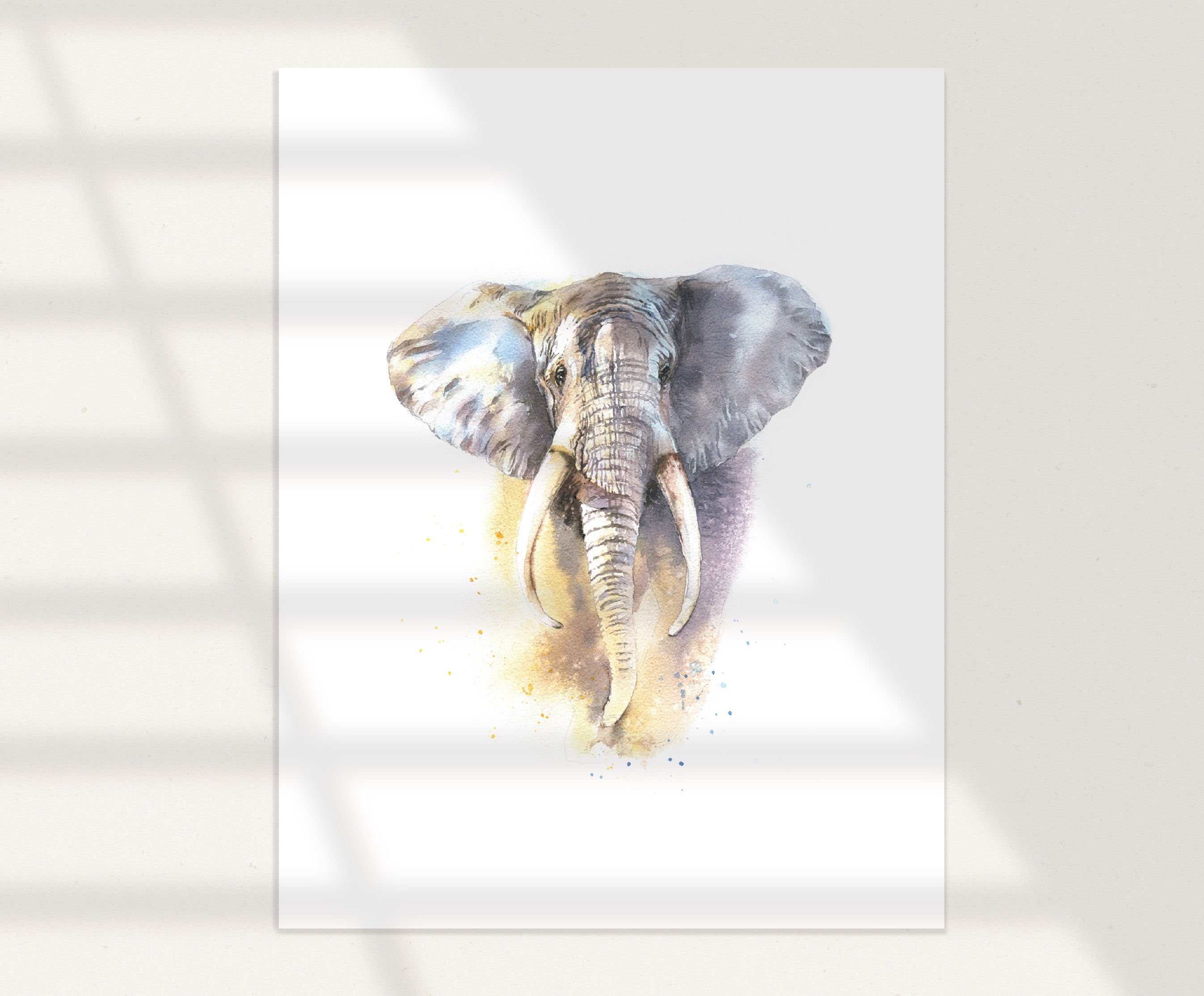 African Elephant