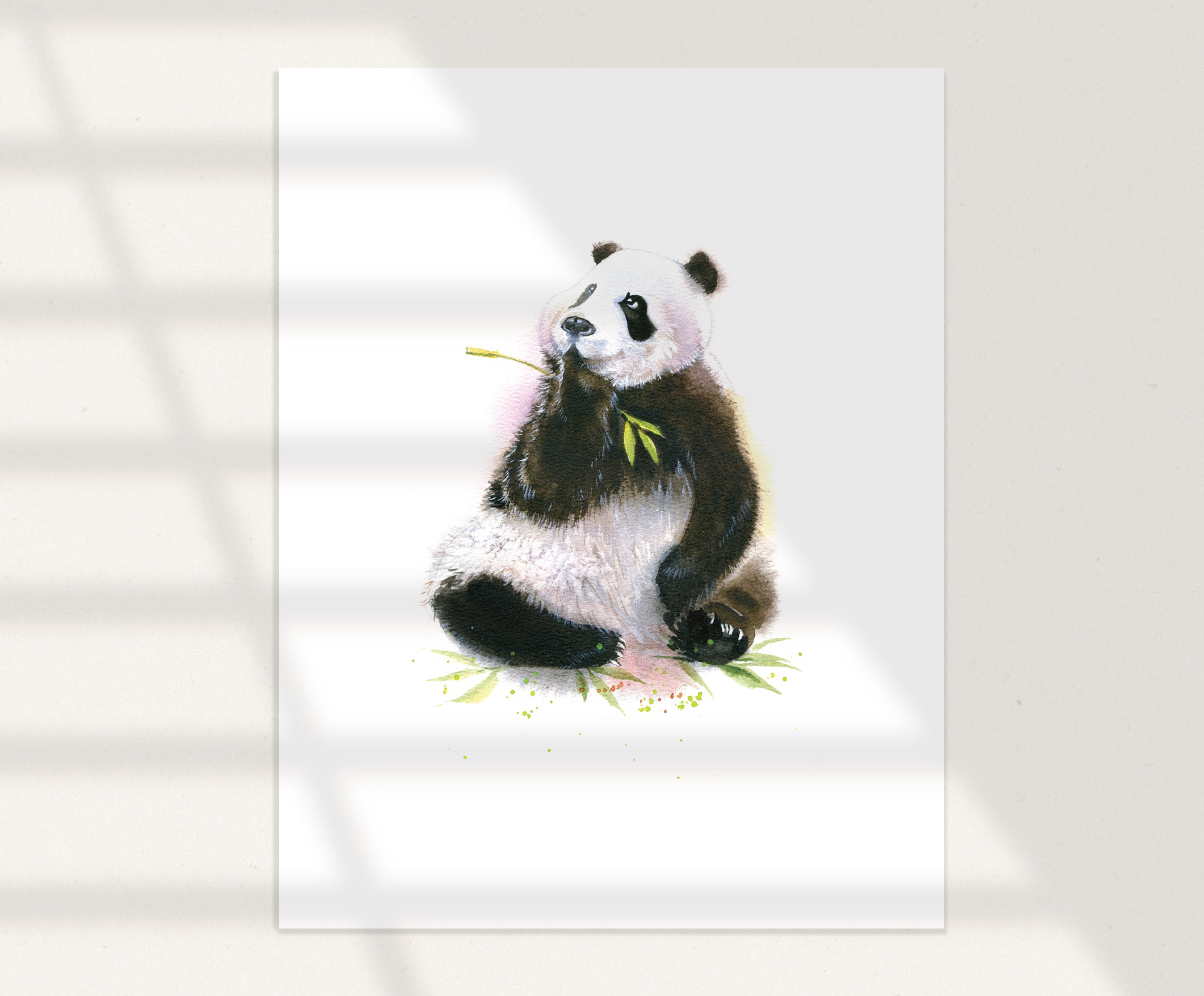 Giant Panda