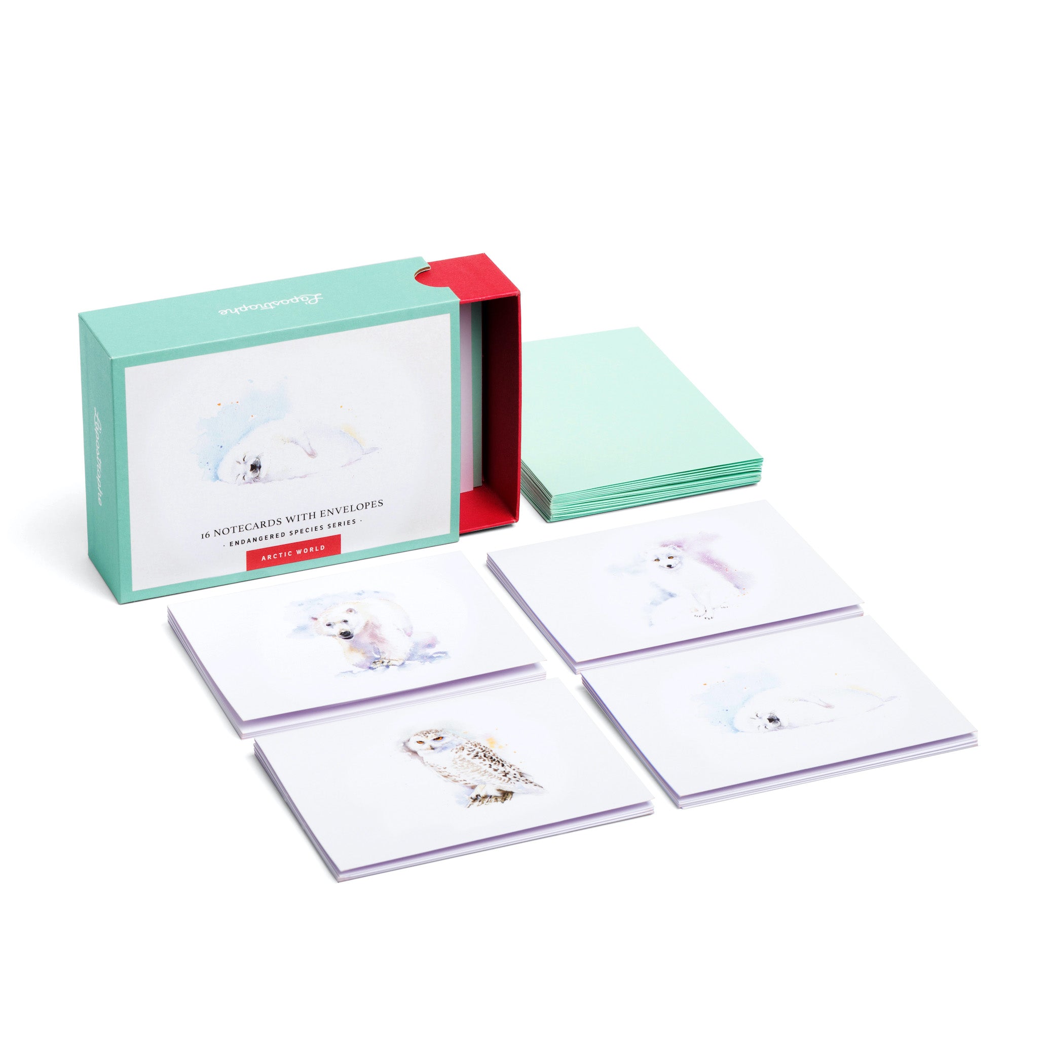 Arctic World | 16 Note Cards