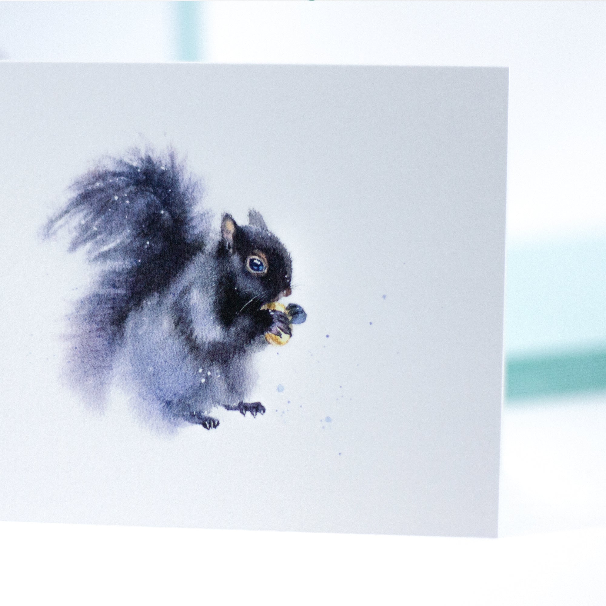 Princeton - Black Squirrel | 16 Notecards