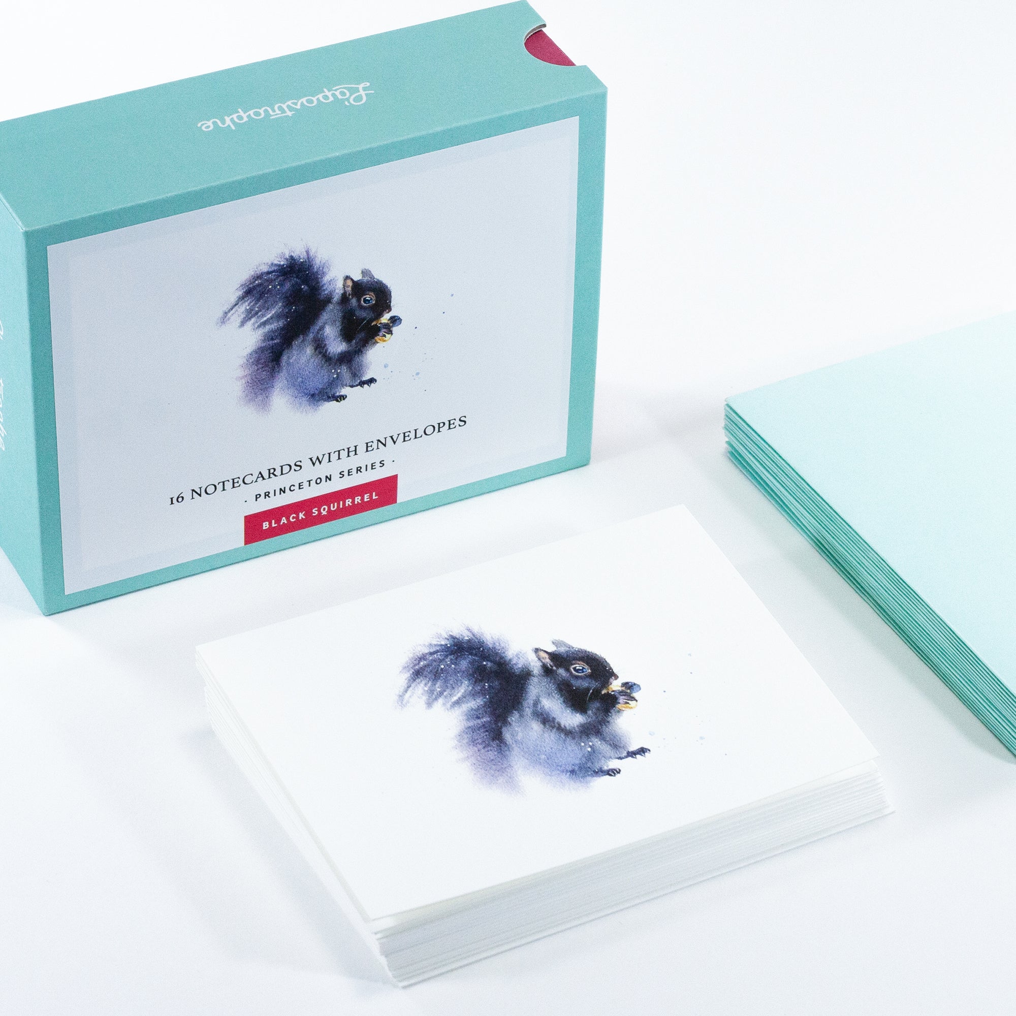 Princeton - Black Squirrel | 16 Notecards