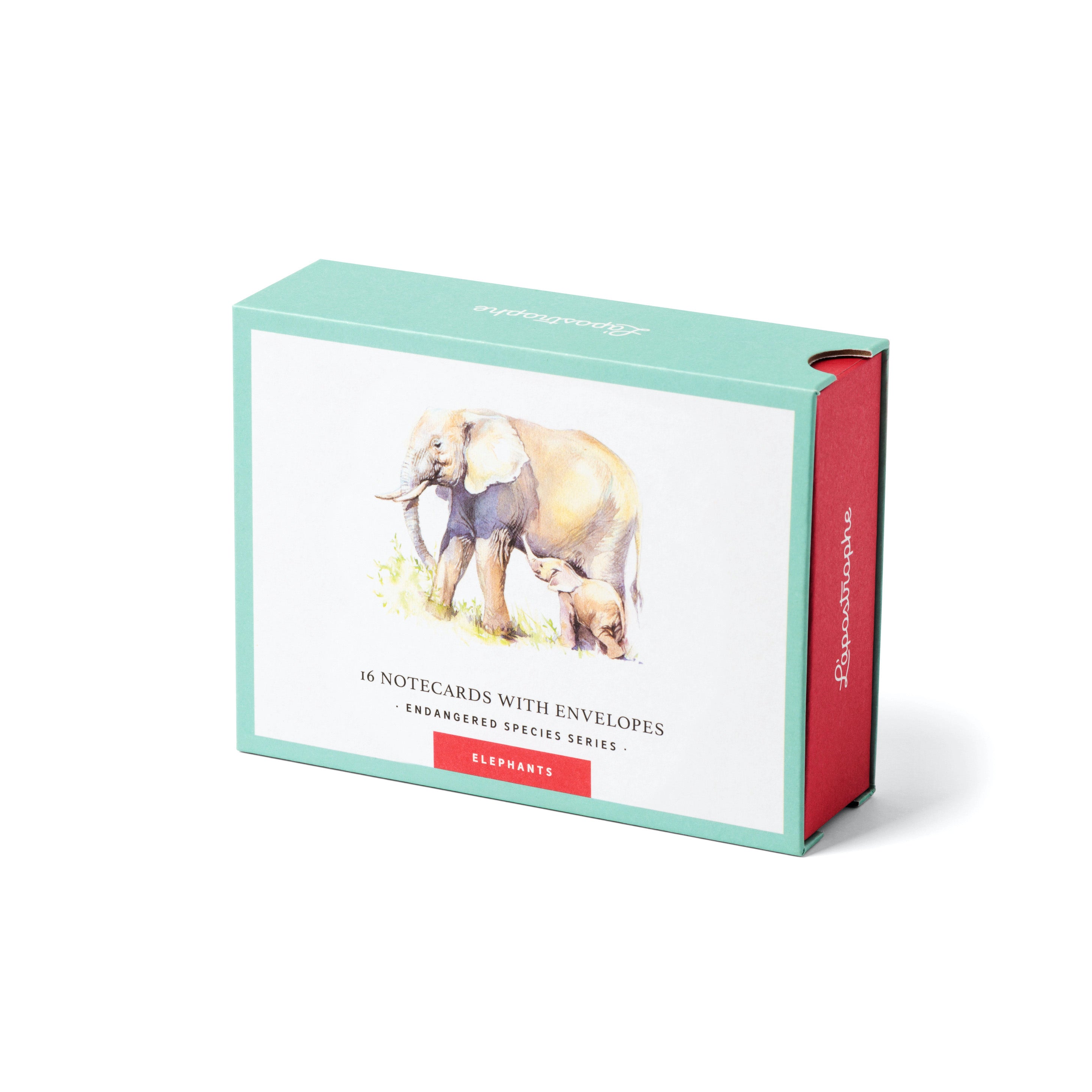 Elephants | 16 Note Cards