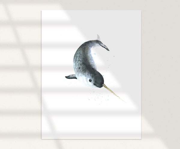 Narwhal