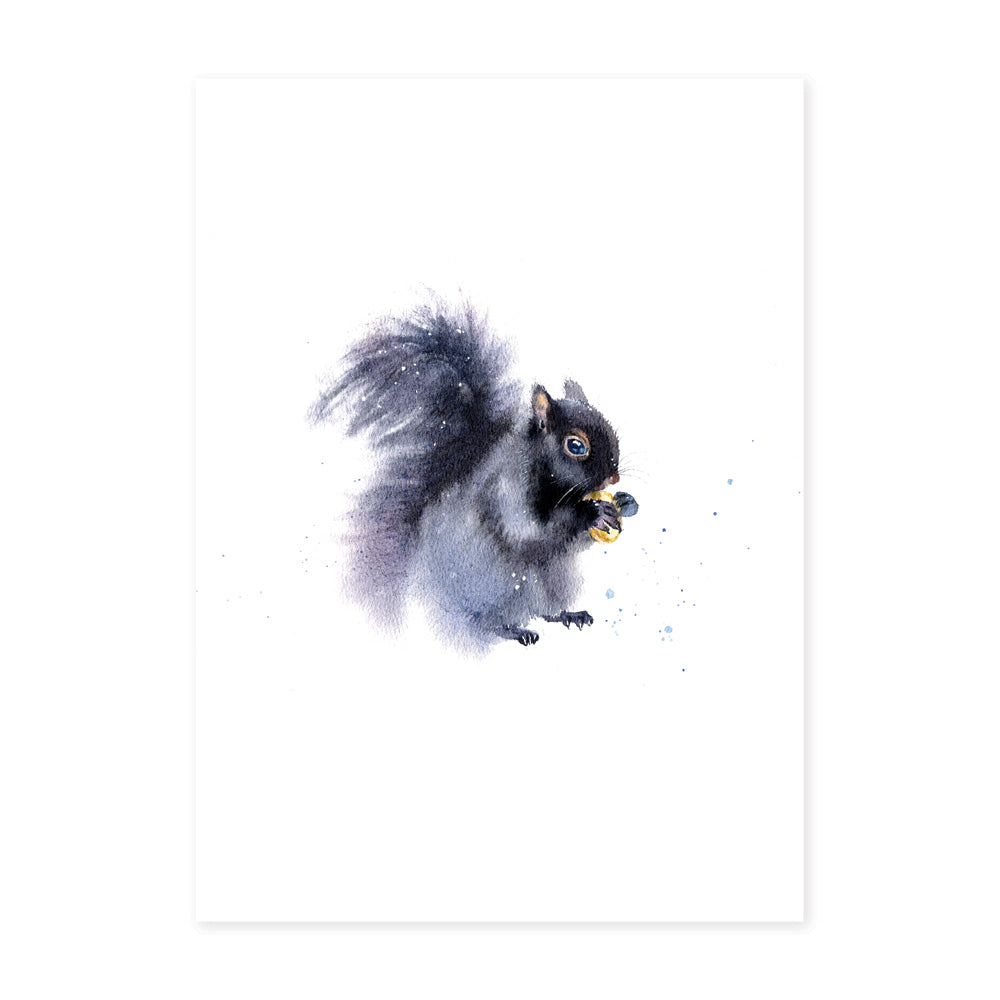 Black Squirrel (WS)