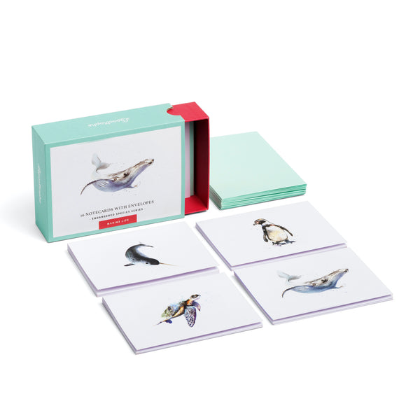 Marine Life | 16 Note Cards