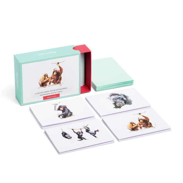 Great Apes  | 16 Note Cards